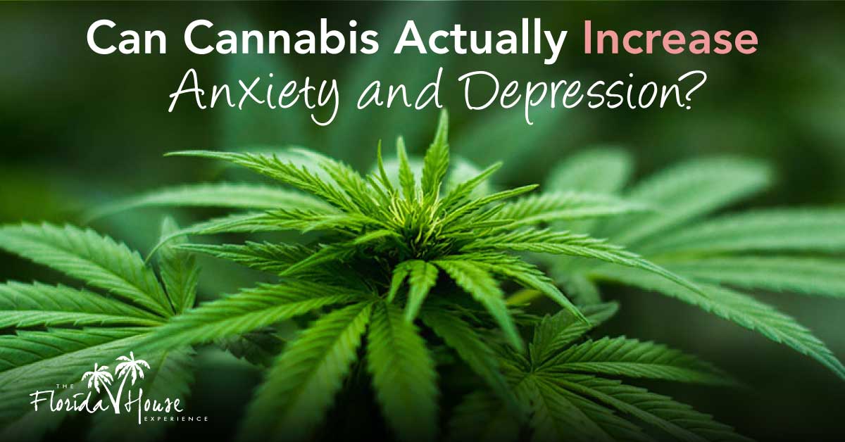 Can CAnnabis actually increase anxiety and addiction? FHE - Blog