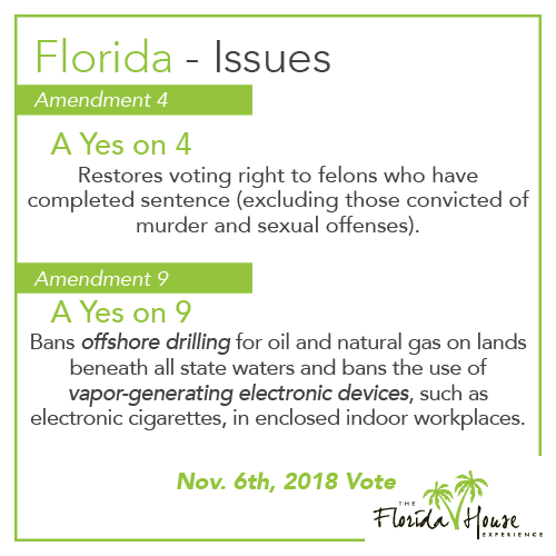 Addiction on the Ballot - Florida Issues