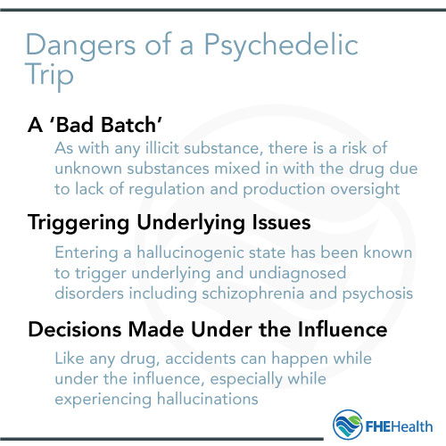 What are the dangers of a psychedelic trip?