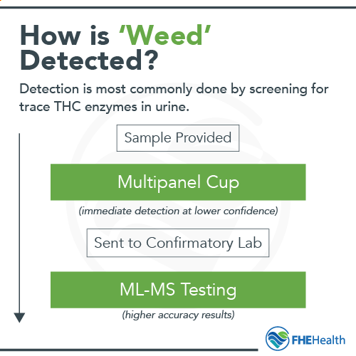 How is marijuana typically detected in a drug test - How to clean pot out of system