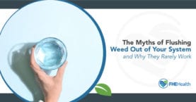 How To Flush Weed Out of Your System -Flushing Weed out of your system and why it rarely works - How to clean pot out of system