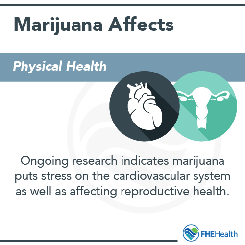 Physical affects of long-term marijuana use