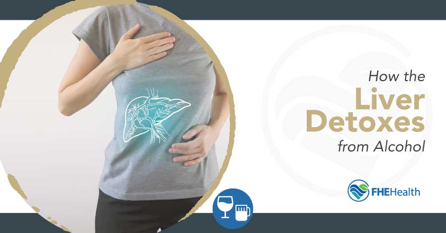 How Does the Liver Detox from Alcohol?