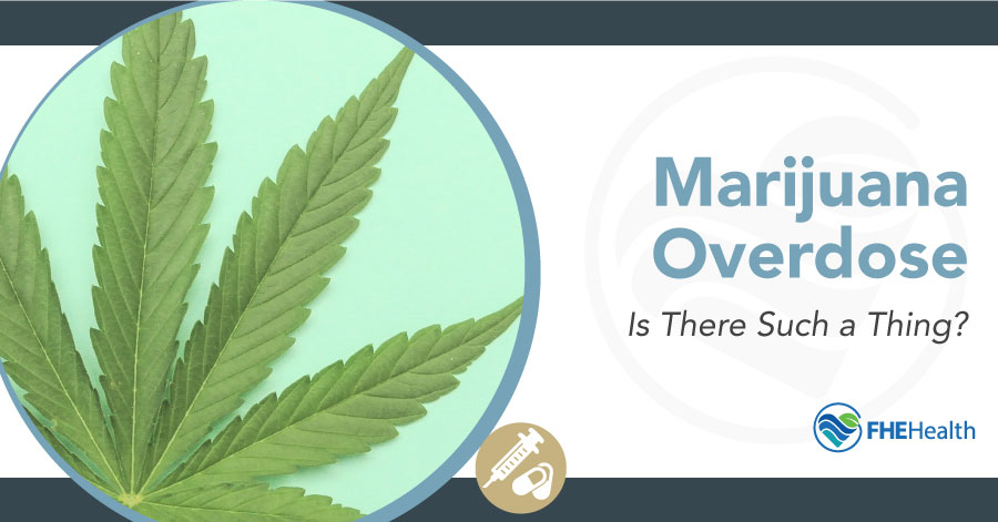 Cannabis overdose, Is There Such a Thing? | FHE Health