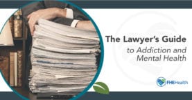 Lawyer's Guide to Addiction