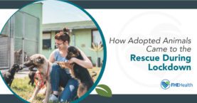 Lockdown Heroes: How Adopted Animals Rescued Hearts
