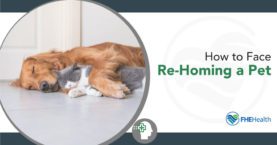 Facing the Challenge of Re-Homing a Pet