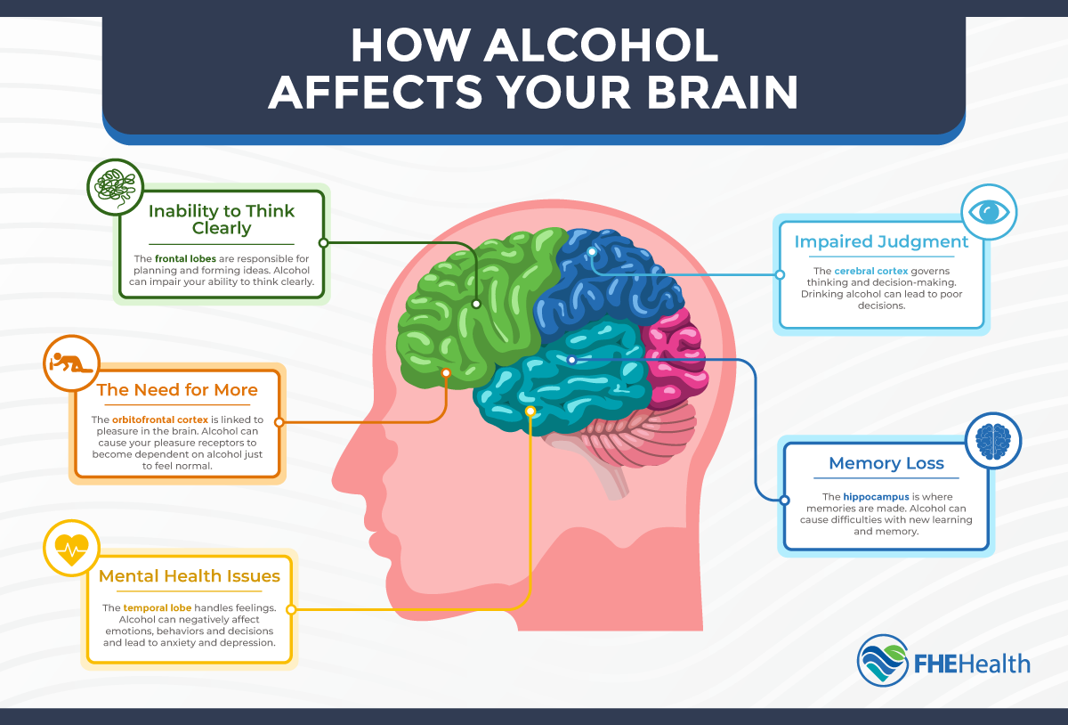 https://3fe3bb6c.delivery.rocketcdn.me/wp-content/uploads/2022/02/FHE-how-alcohol-affects-your-brain.png?utm_source=chatgpt.com