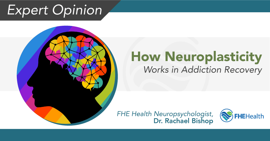 Neuroplasticity's Role in Addiction Recovery