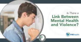 The Relationship Between Mental Health and Violent Acts
