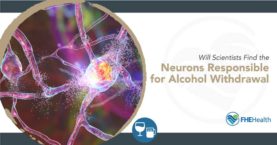 Cracking the Code: Neurons in Alcohol Withdrawal
