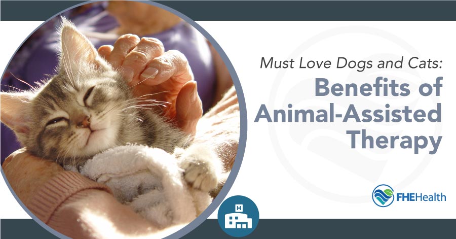 Pawsitive Therapy: Benefits of Animal-Assisted Treatment