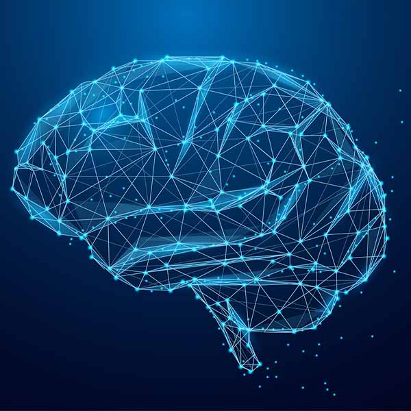 brain image