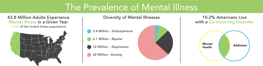 FHE Mental Illness