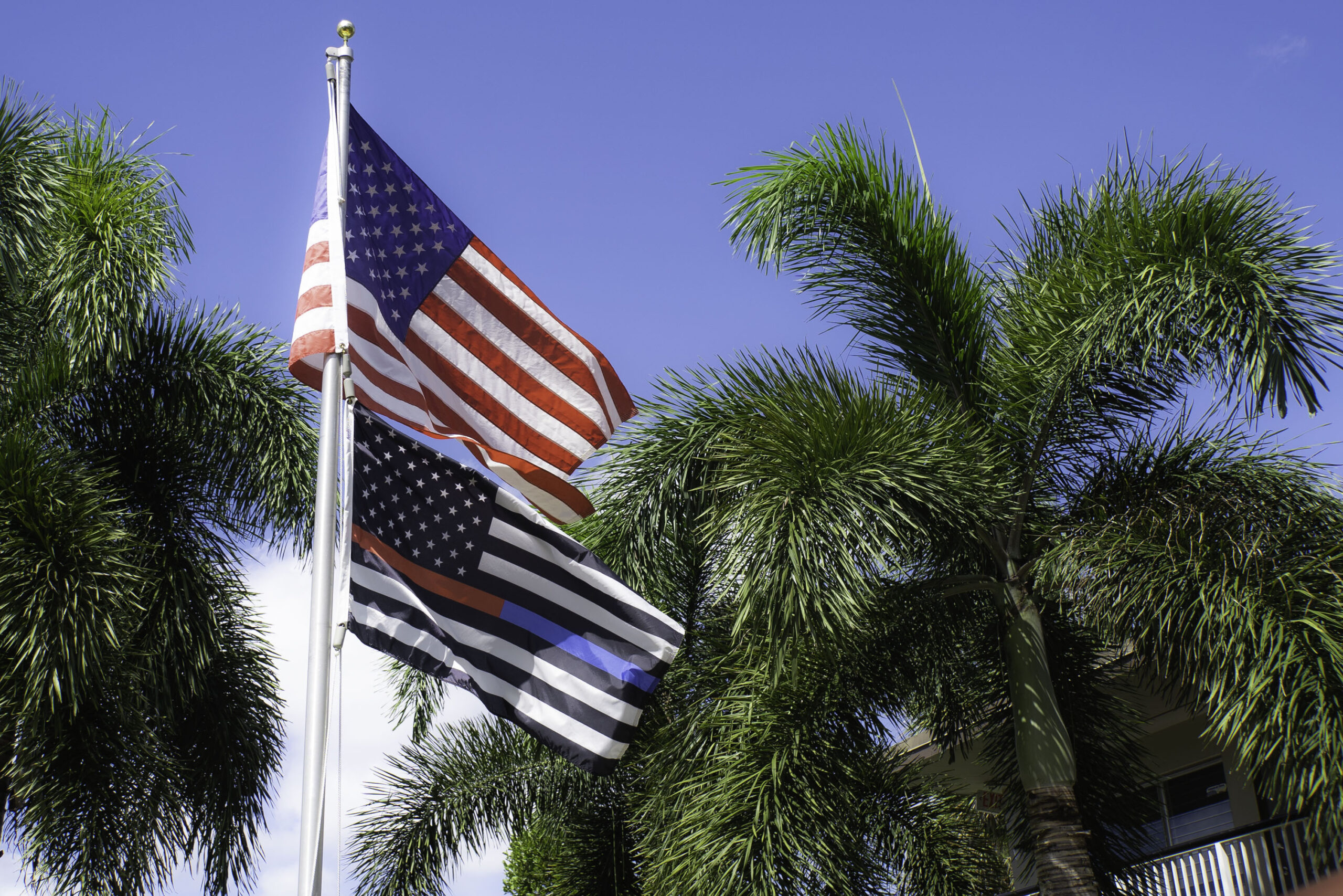 Shatterproof - Neuroscience - First Responders